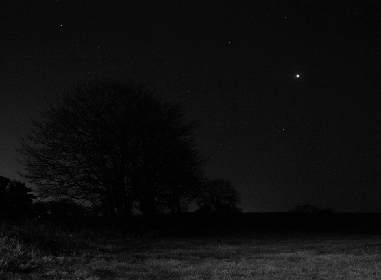 Venus as an 'Evening Star' in the Western sky in January 2009 (Copyright Martin J Powell 2009)