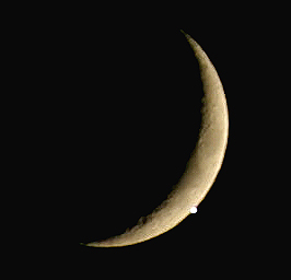 A lunar occultation of Venus on December 1st, 2008 (Copyright Martin J Powell, 2008)