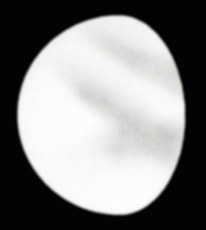 Gibbous Venus sketched by Paul G. Abel on December 24th 2019 (Image: ALPO-Japan/Paul G. Abel)