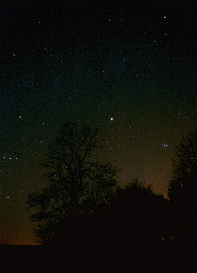 Jupiter in central Taurus in November 2012 (Copyright Martin J Powell 2012)