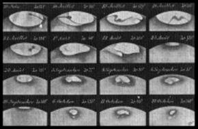 The Martian Southern Polar Cap, sketched in 1909 by Rene Jarry-Desloges (click for full-size image)