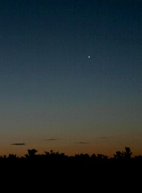 Venus rising at dawn during the 2012-13 morning apparition (Copyright Martin J Powell, 2012)
