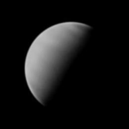 Venus imaged by Stefano Quaresima (Rome, Italy) in June 2015 (Image: Stefano Quaresima/ALPO-Japan)