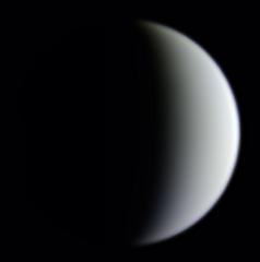 Crescent Venus imaged by Niall MacNeill on April 18th 2020 (Image: ALPO-Japan/Niall MacNeill)