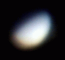 Gibbous Venus at 62% phase filmed during the planet's 2004 evening apparition (Copyright Martin J Powell 2004)