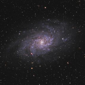 Messier 33 'Triangulum Galaxy' in the constellation of Triangulum (Image: Hunter Wilson/Wikipedia)