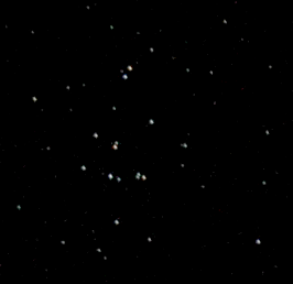 The Praesepe star cluster (M44) in Cancer (Photo: Copyright Martin J Powell, 2005)