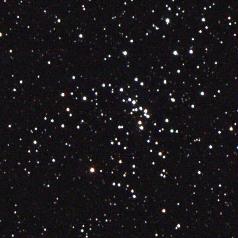 The open star cluster M48 in Hydra (Image: Ole Nielsen/Wikimedia Commons)