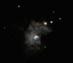 The Trapezium star cluster in the Orion Nebula (M42), photographed with a DSLR camera pointed through a telescope eyepiece. South is up and East is to the right (Copyright Martin J Powell, 2006)